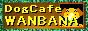 hbOJtFWANBANAHP